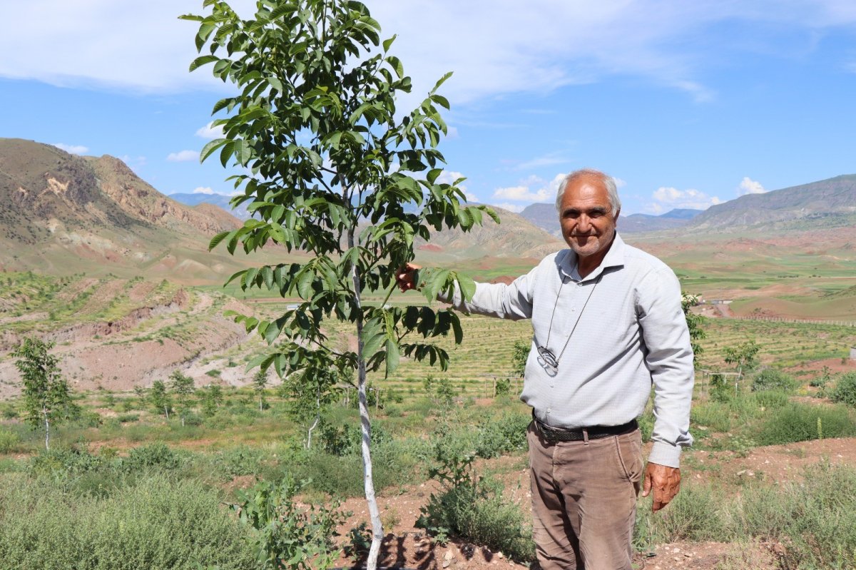Erzurumlu girişimci, atıl topraklara 16 bin ceviz fidanı dikti #3