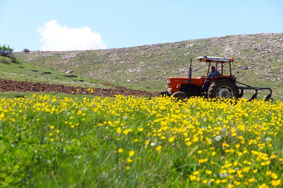 Bayburt ta 35 yıllık atıl topraklar yeniden tarıma açıldı #3