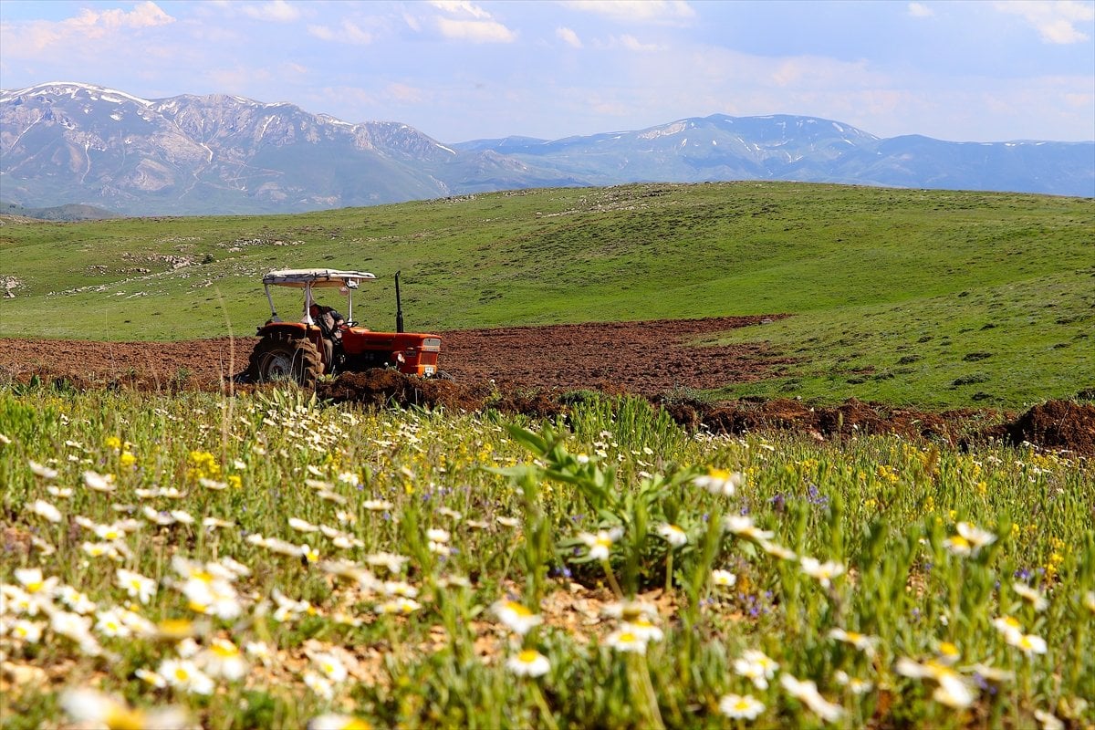 Bayburt ta 35 yıllık atıl topraklar yeniden tarıma açıldı #1