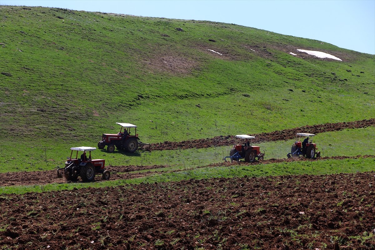 Bayburt ta 35 yıllık atıl topraklar yeniden tarıma açıldı #5