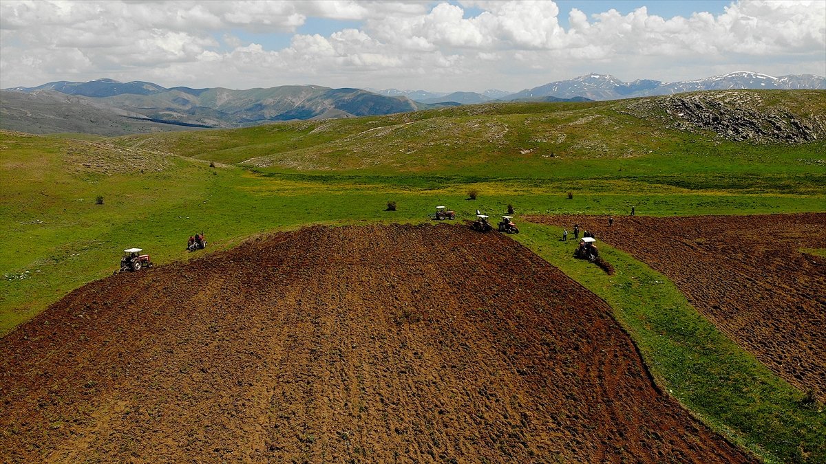 Bayburt ta 35 yıllık atıl topraklar yeniden tarıma açıldı #10