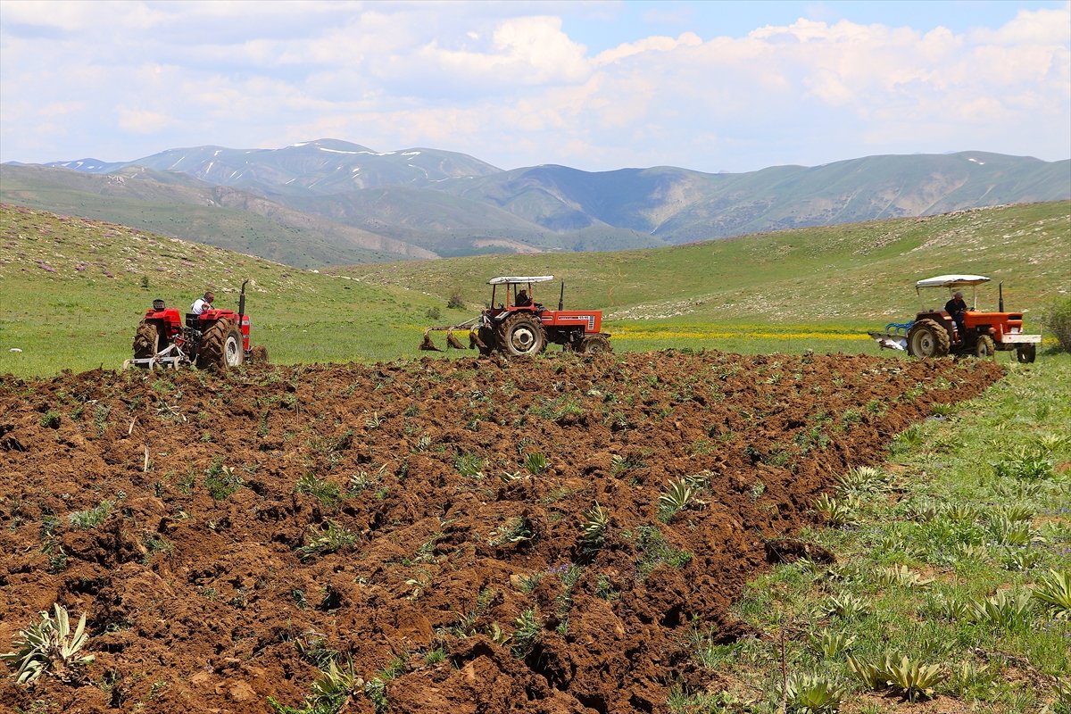Bayburt ta 35 yıllık atıl topraklar yeniden tarıma açıldı #8