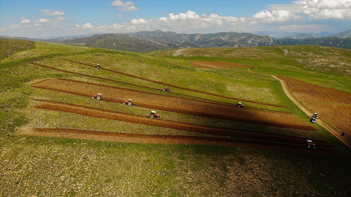 Bayburt ta 35 yıllık atıl topraklar yeniden tarıma açıldı #9