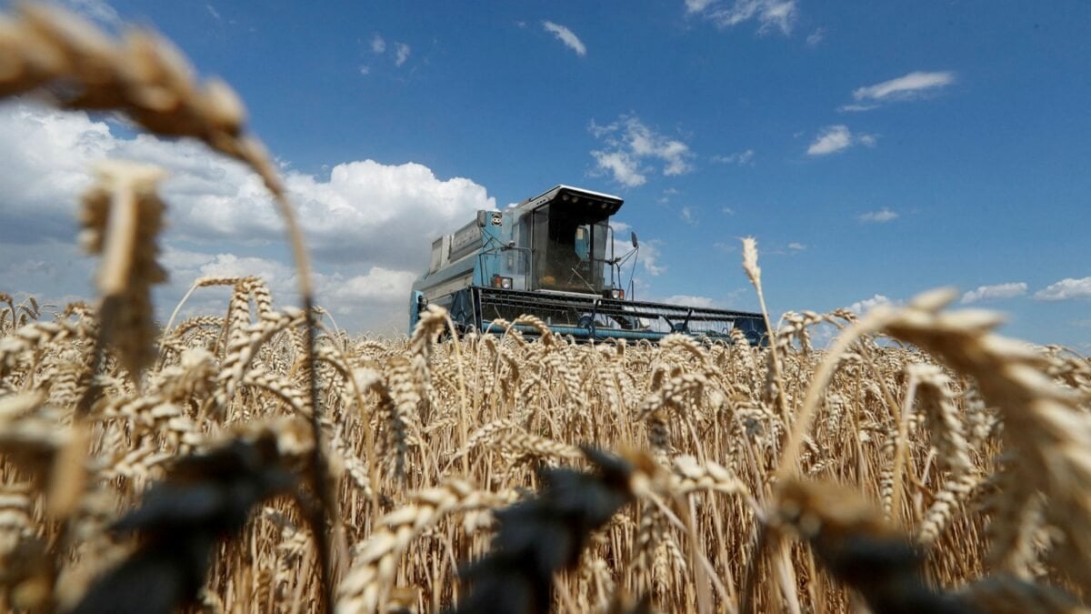 Ukrayna, ekilebilir tarım alanlarının yüzde 25’ini kaybetti #1