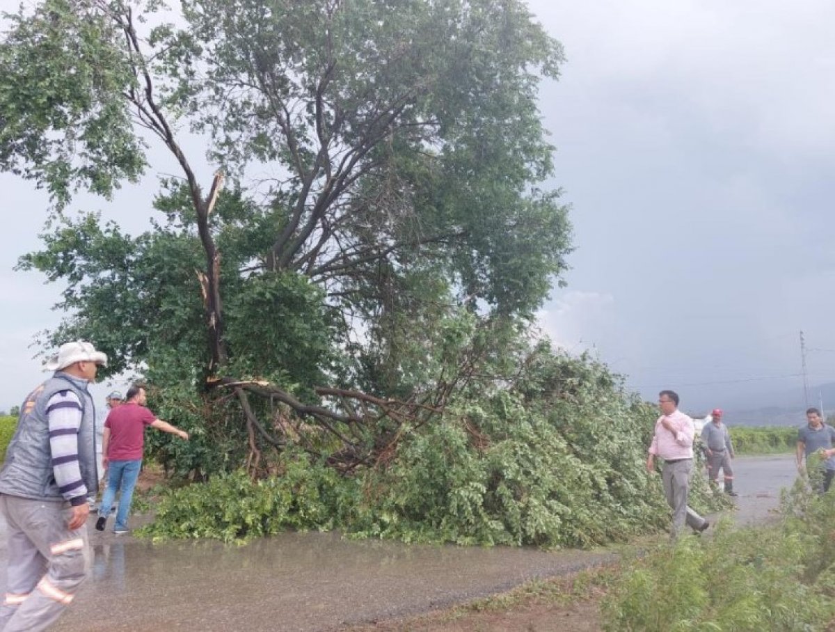 Manisa da şiddetli fırtına ve dolu etkili oldu #2