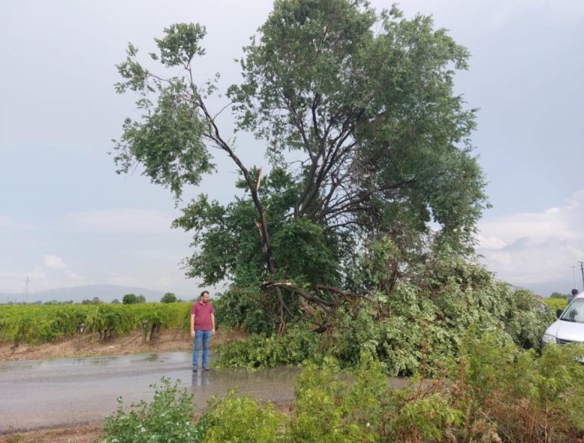 Manisa da şiddetli fırtına ve dolu etkili oldu #1