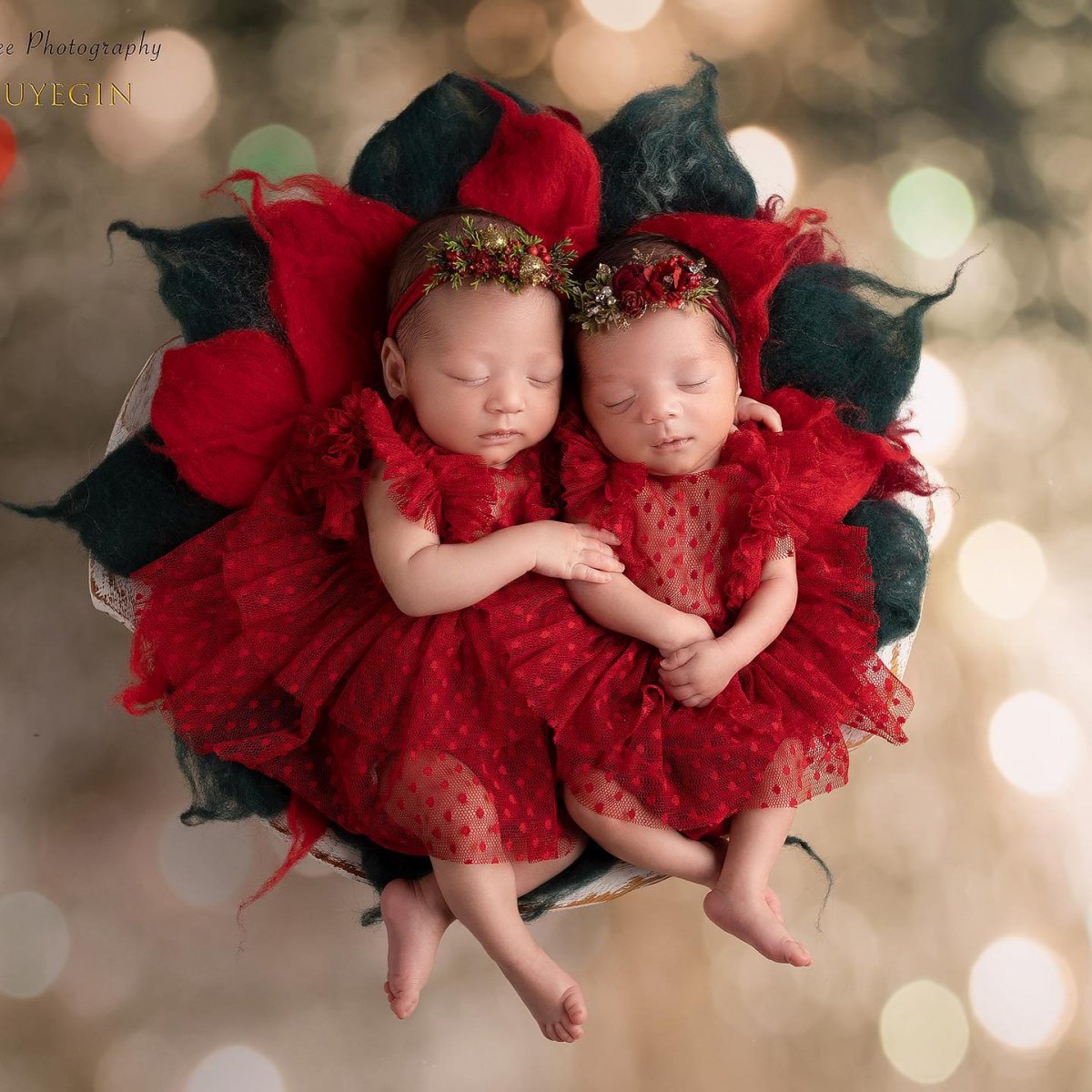 Seray Sever, ikiz bebeklerini paylaştı #3