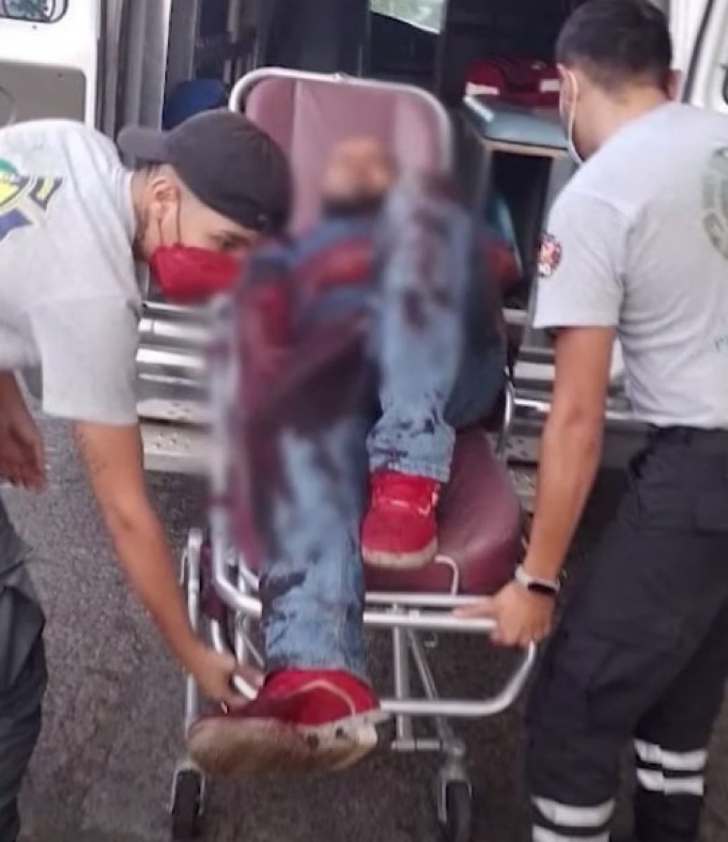 The person who was attacked by the tiger he was keeping, died in Mexico #2