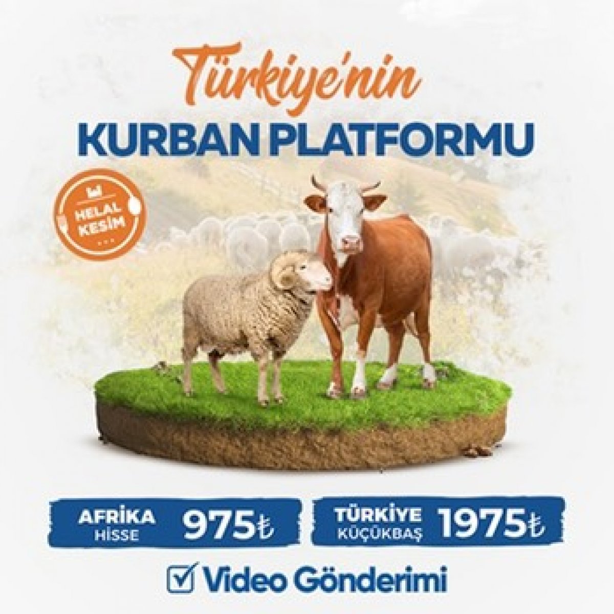 Türkiye’nin kurban platformu kurbanpazarı.com.tr açıldı #1