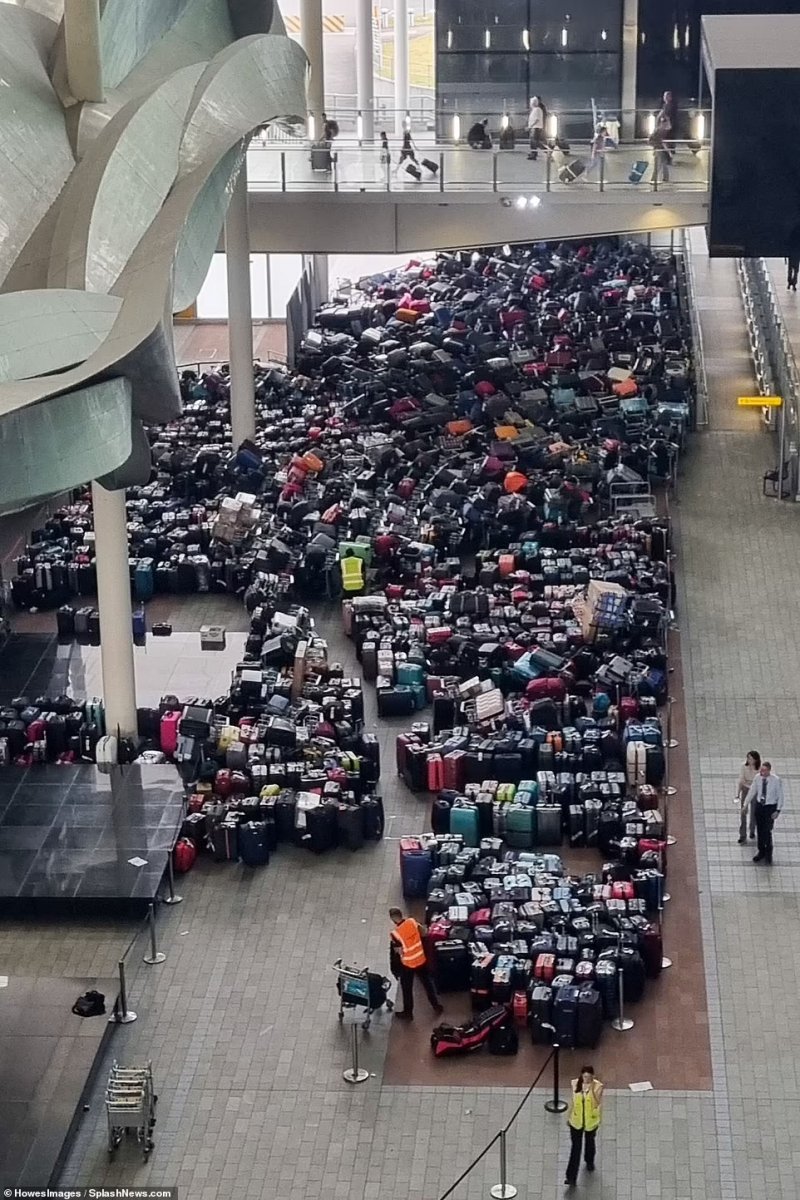 Luggage accumulated at Heathrow Airport displayed #4