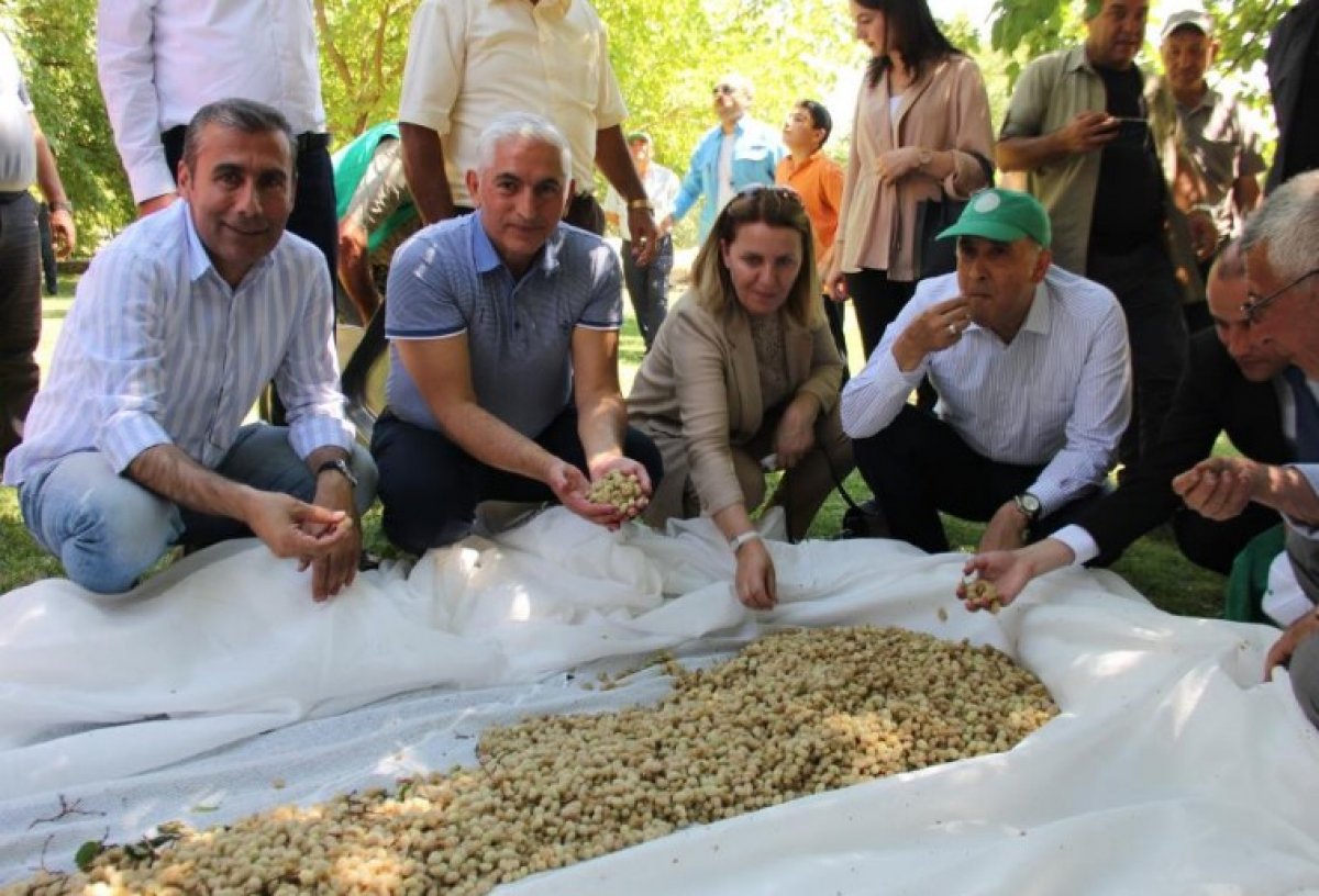 Bir paraşütçü Adıyaman daki festivale uçarak geldi #2