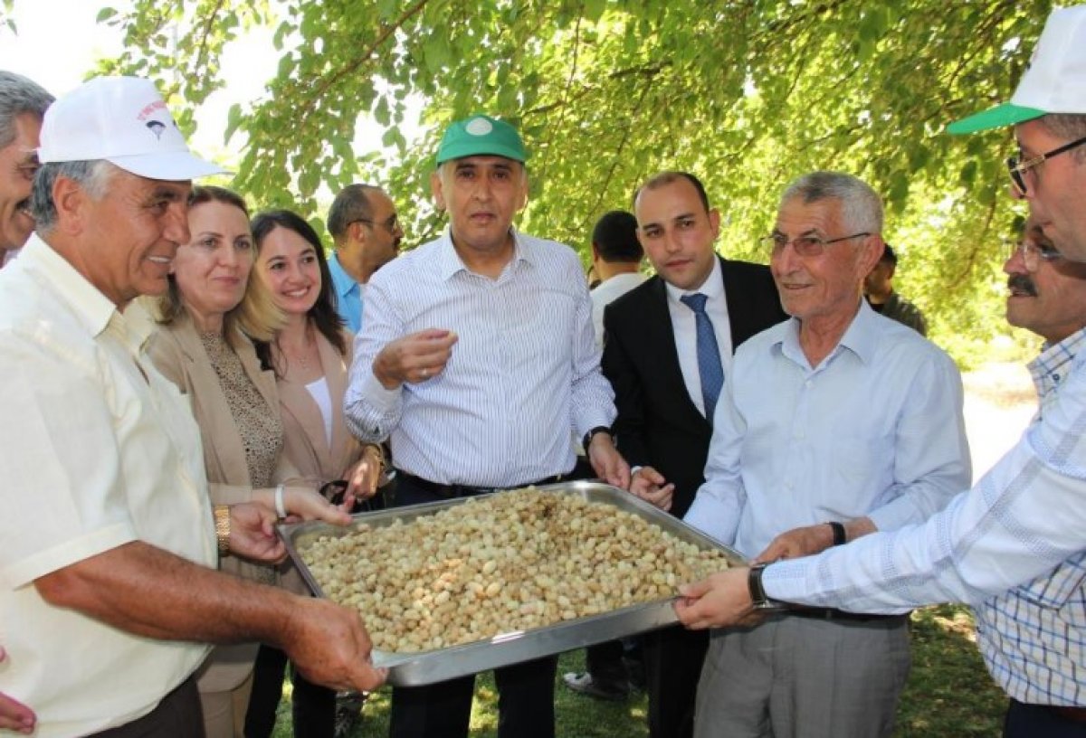 Bir paraşütçü Adıyaman daki festivale uçarak geldi #4