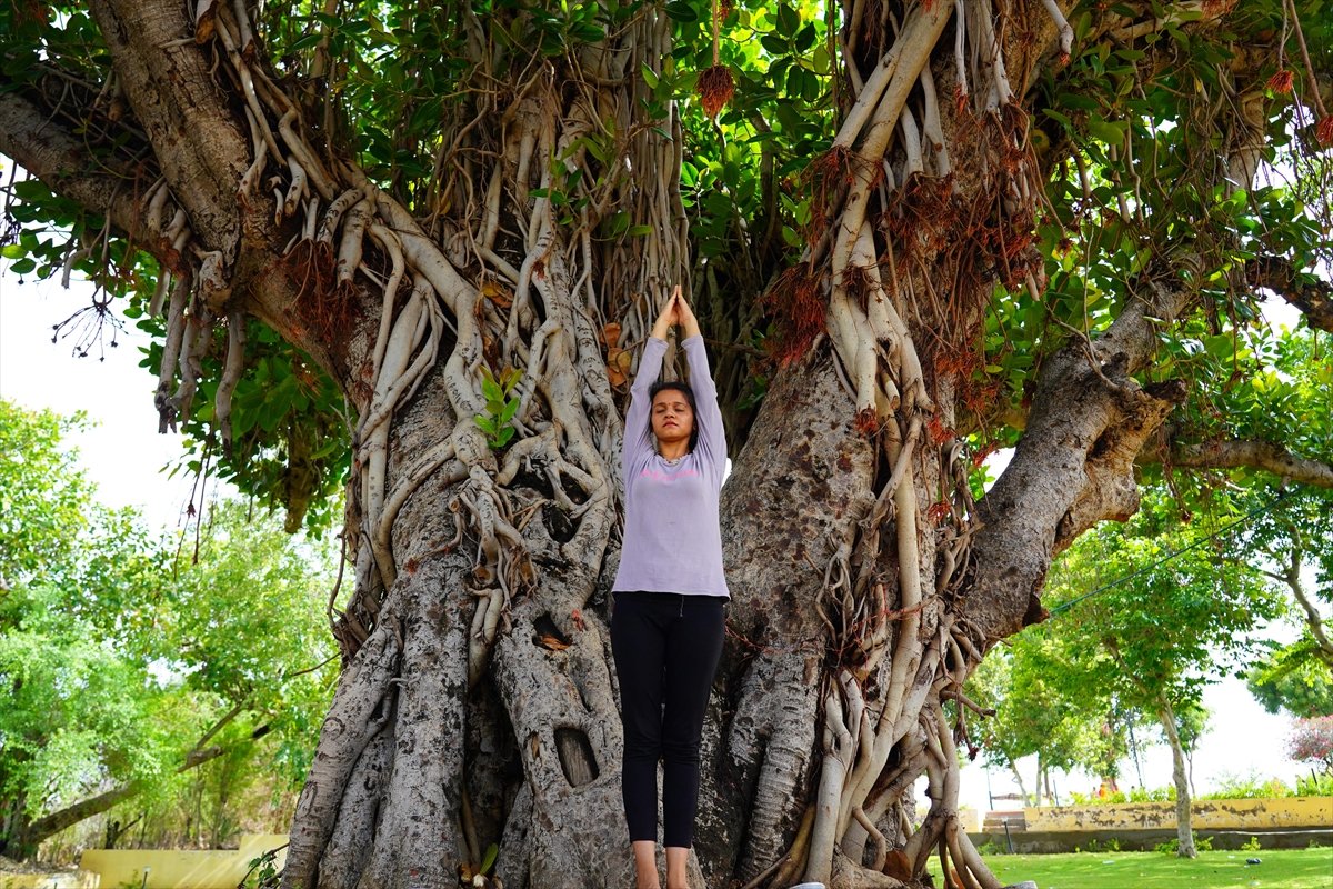 Hindistan da Dünya Yoga Günü kutlandı #10