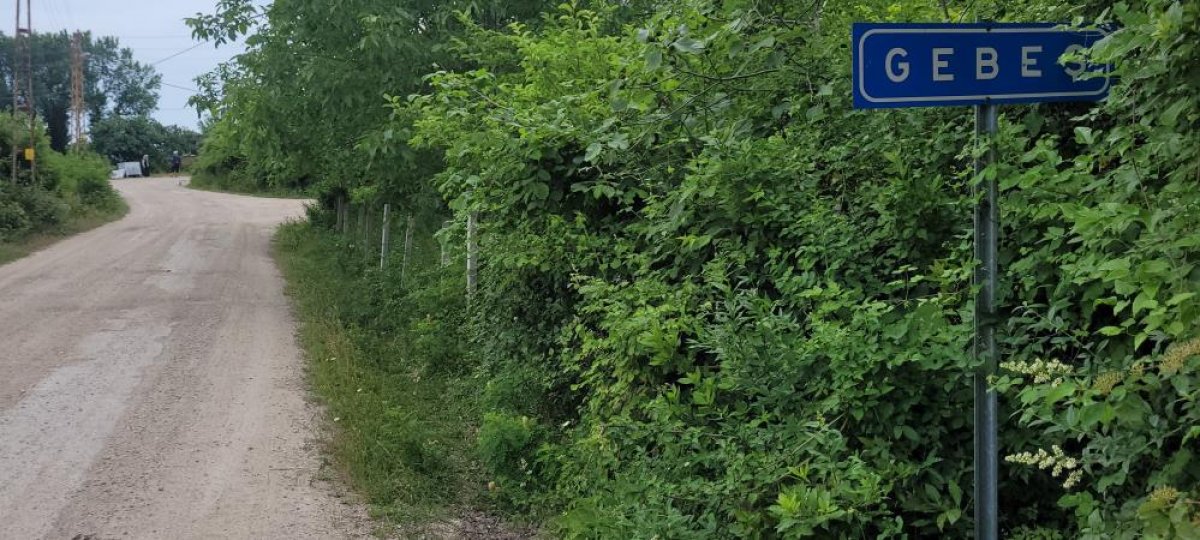 Kastamonu da ayılar gündüz vakti yerleşim yerlerine inmeye başladı #5