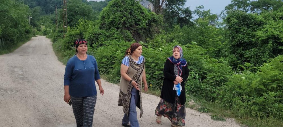 Kastamonu da ayılar gündüz vakti yerleşim yerlerine inmeye başladı #4