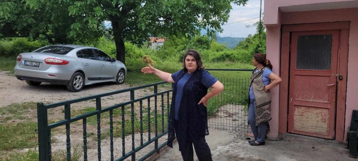 Kastamonu da ayılar gündüz vakti yerleşim yerlerine inmeye başladı #3