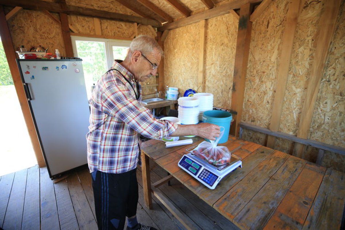 Kırklareli nde dalından toplanan sebze ve meyvenin parası kulübeye bırakılıyor #3
