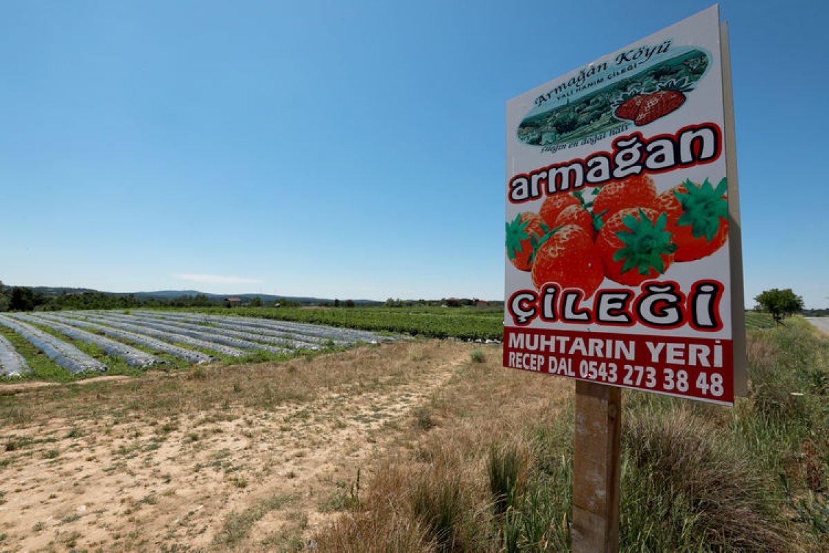 Kırklareli nde dalından toplanan sebze ve meyvenin parası kulübeye bırakılıyor #2