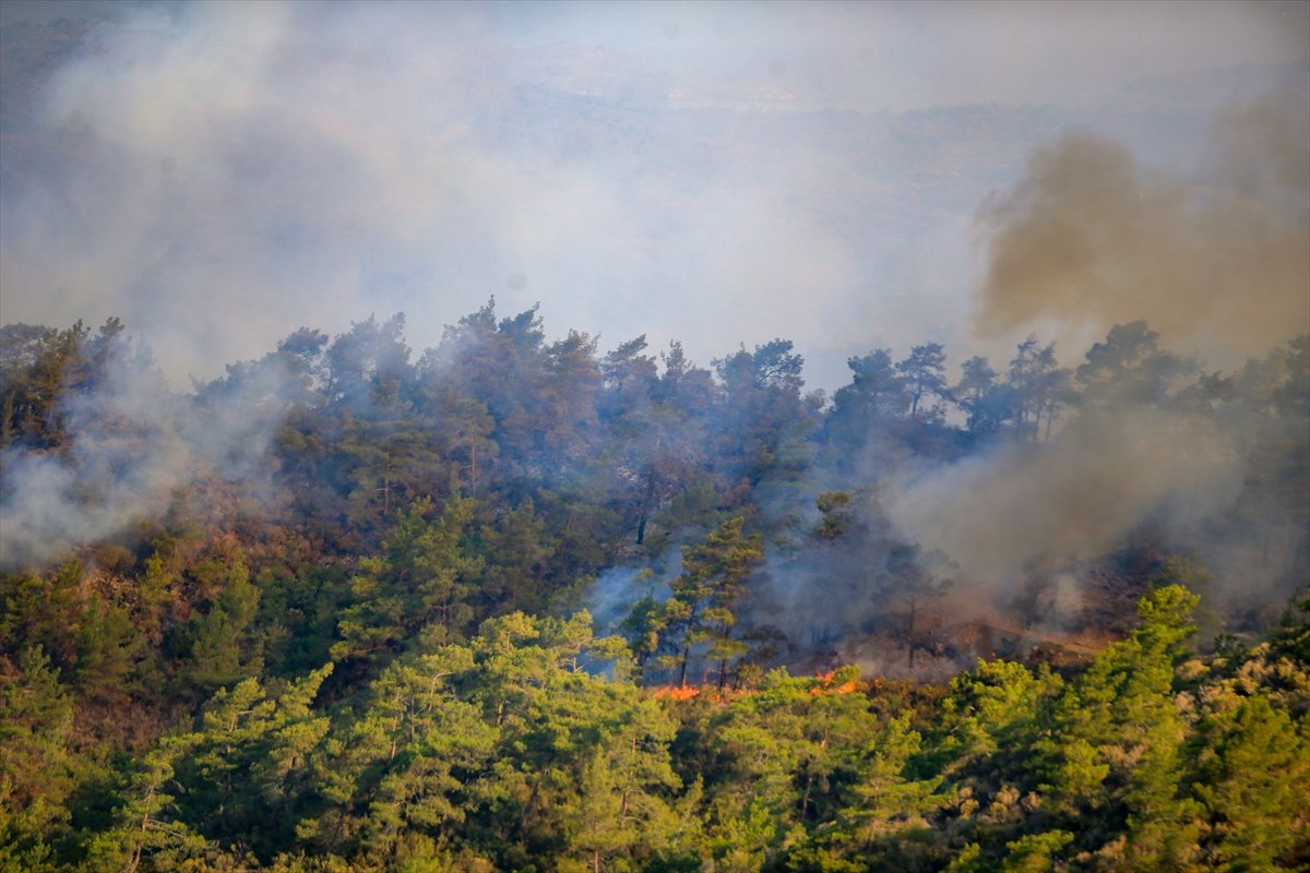 Marmaris’in en genç ormanı yanıyor #9