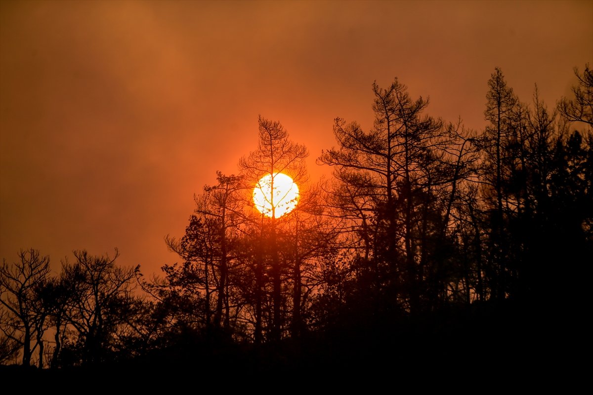 Marmaris’in en genç ormanı yanıyor #3