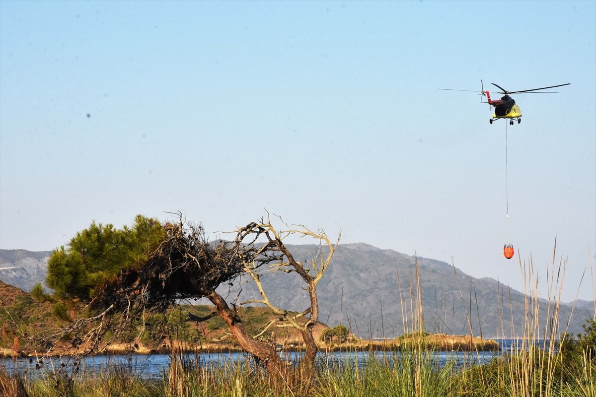 Meral Akşener den  orman yangınlarına uçak yok  provokasyonu #4
