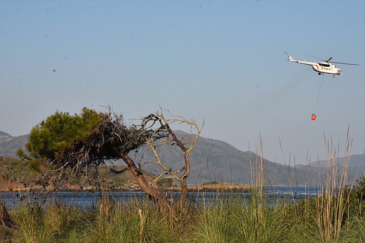 Meral Akşener den  orman yangınlarına uçak yok  provokasyonu #5