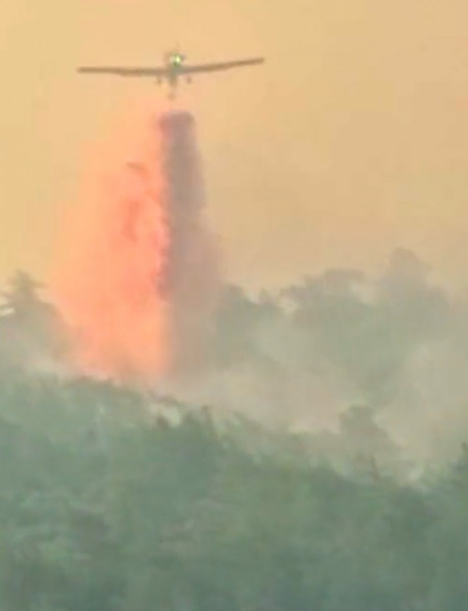 Meral Akşener den  orman yangınlarına uçak yok  provokasyonu #2
