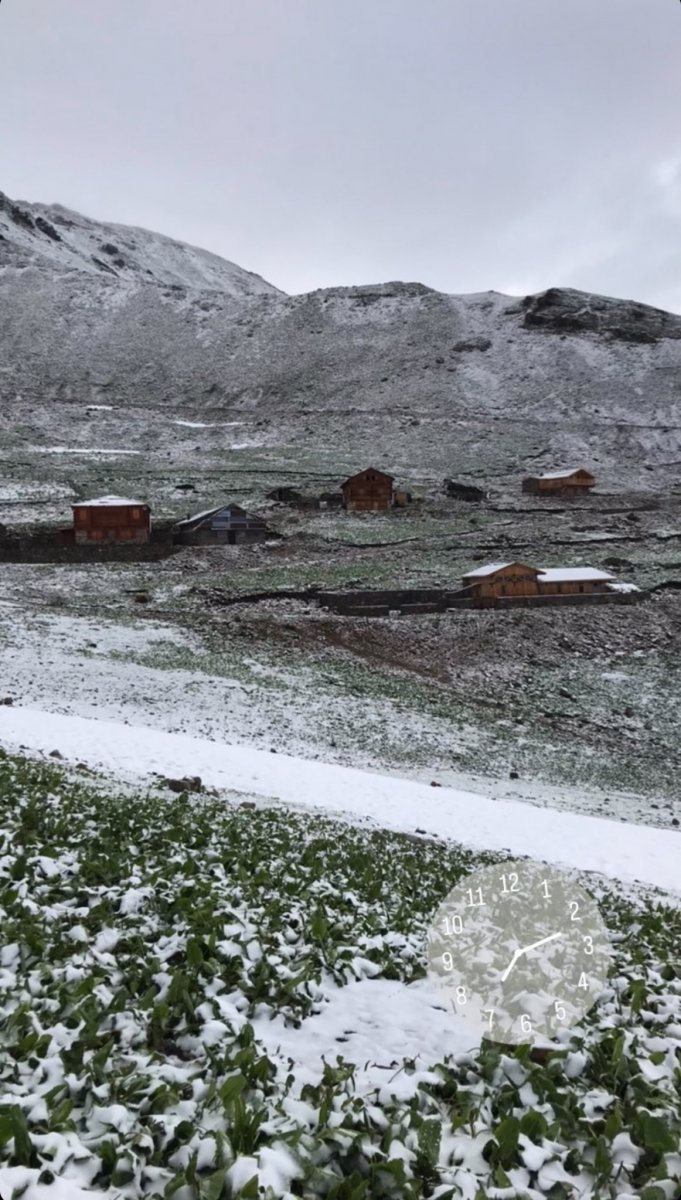 Rize de Tahpur Yaylası beyaza büründü #2