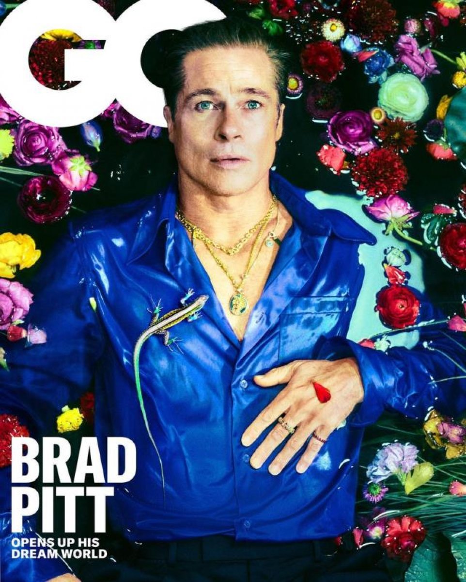 Brad Pitt, Hülya Avşar a benzetildi #1