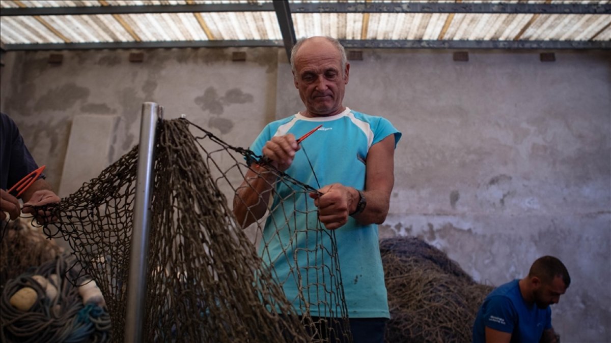 İspanya da binlerce yıllık  almadraba  yöntemiyle ton balığı avı #1