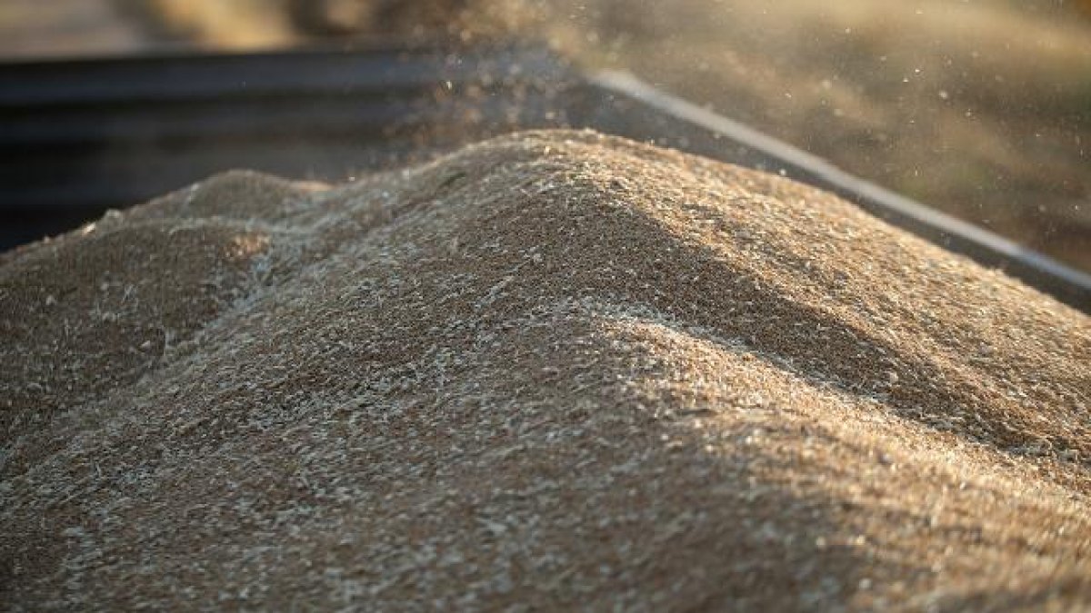 Description of grain export from Ukraine to Western countries #2