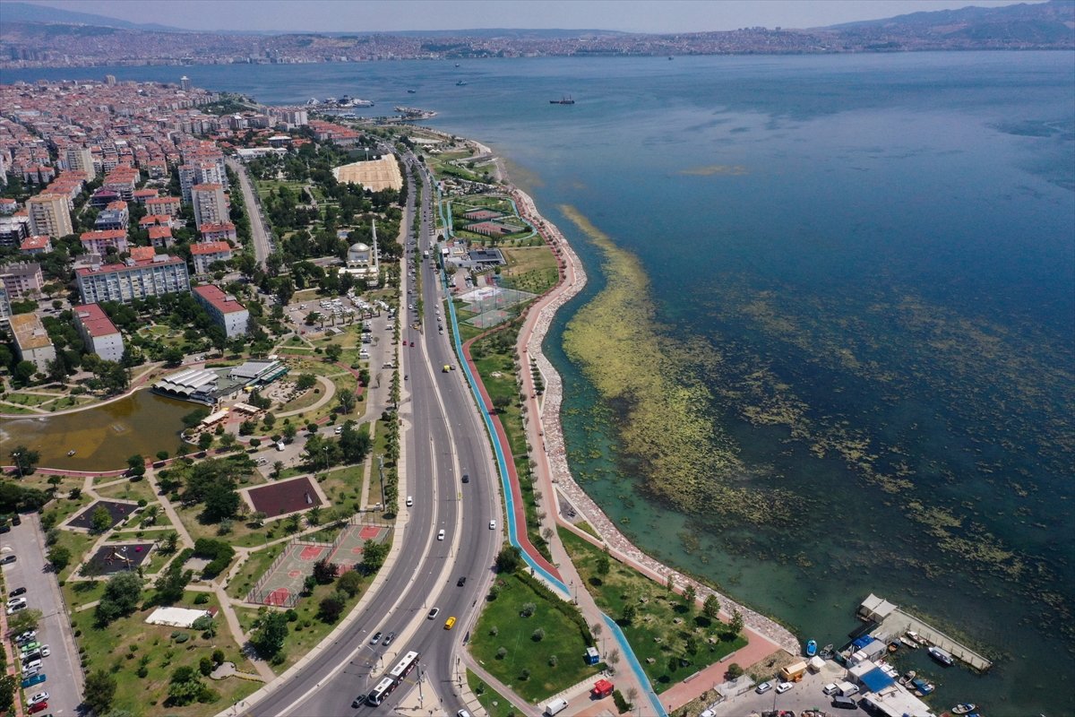 İzmir deki Bostanlı sahilini yosunlar kapladı #13