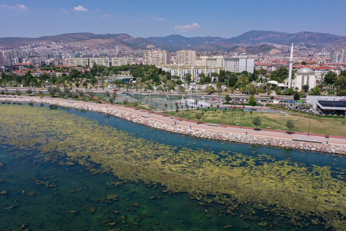 İzmir deki Bostanlı sahilini yosunlar kapladı #14
