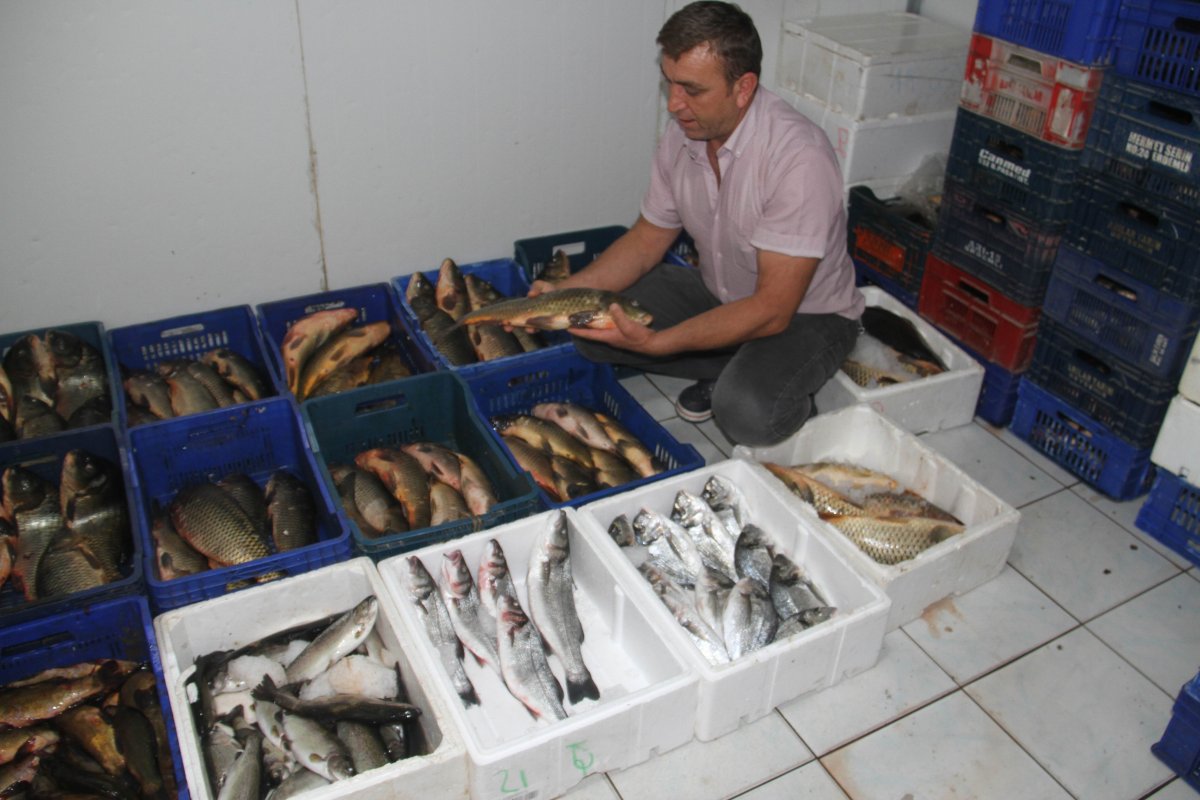 Beyşehir Gölü, balıkçıların geçim kaynağı #4