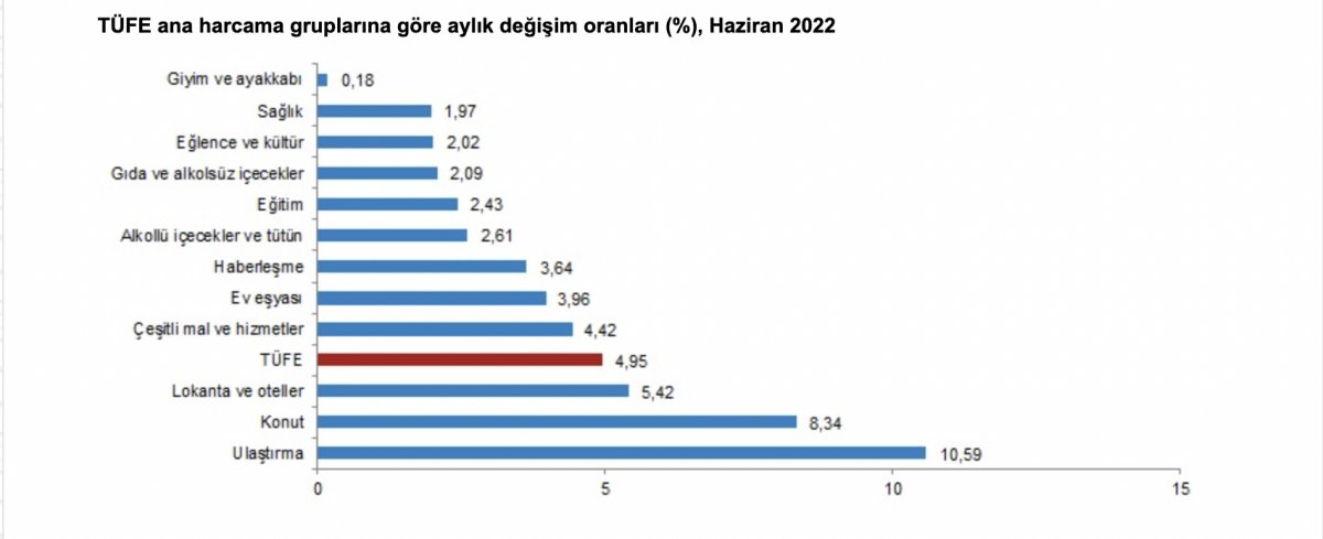 TÜİK, haziran ayı enflasyonunu açıkladı #2