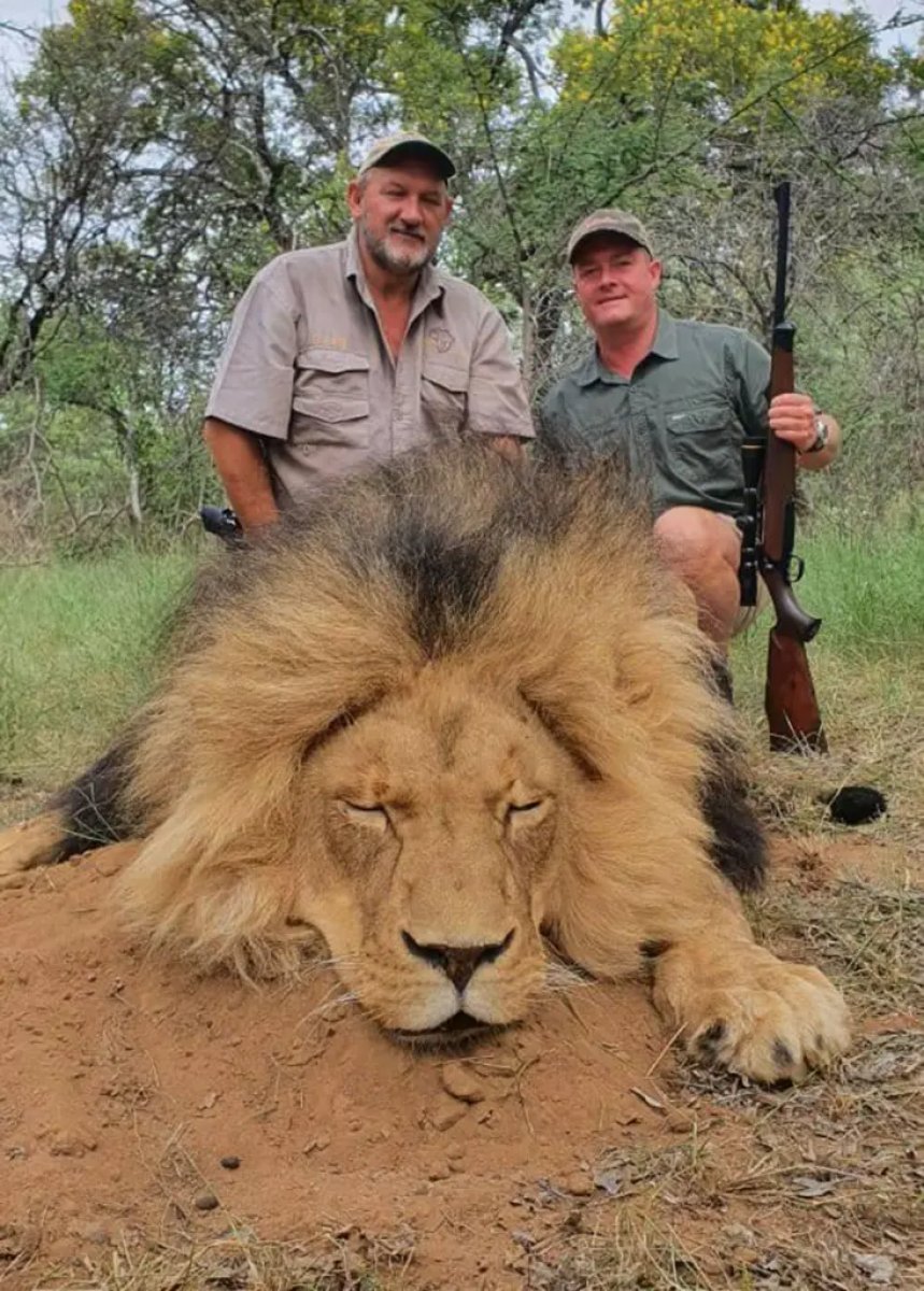 Güney Afrika da vahşi hayvan avcısı Riaan Naude vurularak öldürüldü #4
