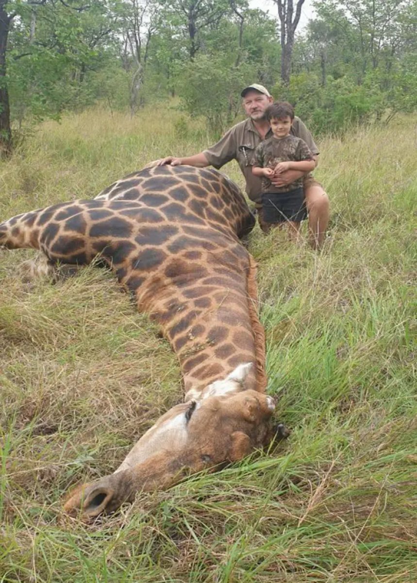 Güney Afrika da vahşi hayvan avcısı Riaan Naude vurularak öldürüldü #5