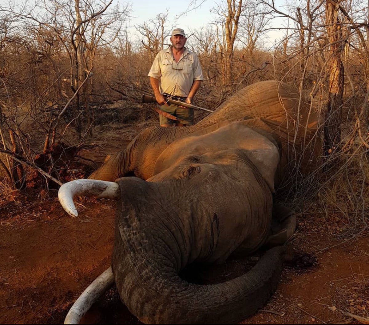 Güney Afrika da vahşi hayvan avcısı Riaan Naude vurularak öldürüldü #3