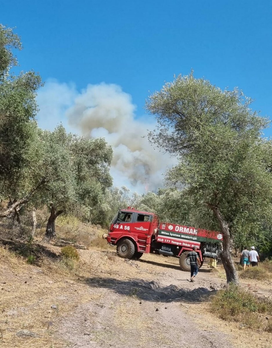 Bodrum’da orman yangını: 7 uçak müdahale ediyor #1
