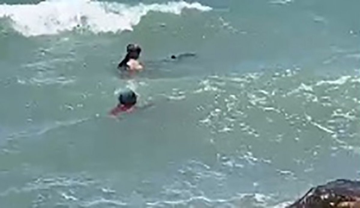 İzmir de yavrusu ölü doğan yunus, kendini karaya vurdu #1