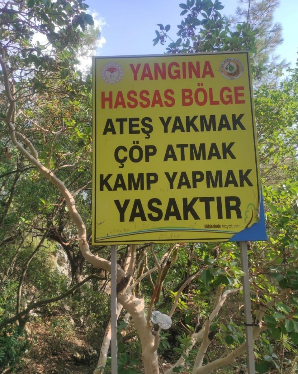 Antalya da ormanda ateş yakanlara ceza kesildi #4