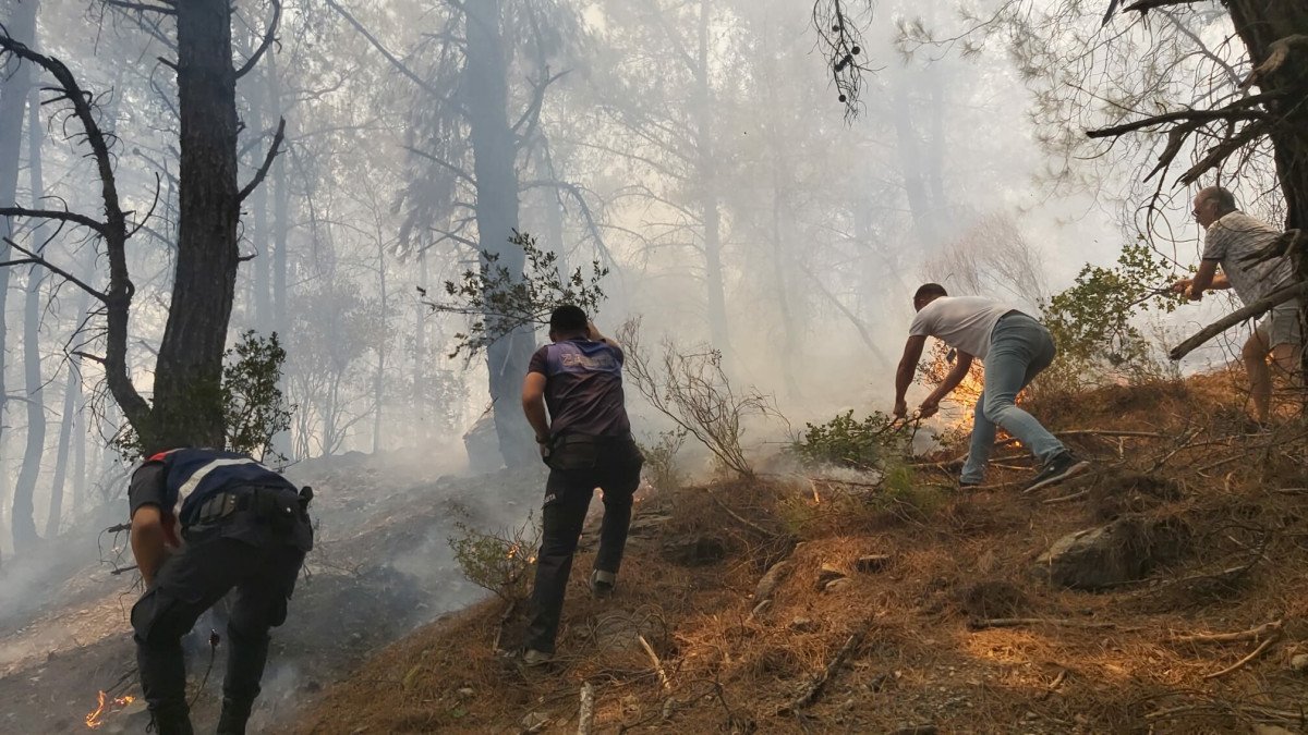 Datça da ormanlık alanda yangın çıktı #4
