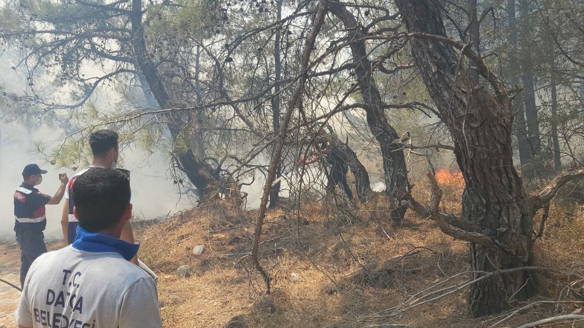 Datça da ormanlık alanda yangın çıktı #9