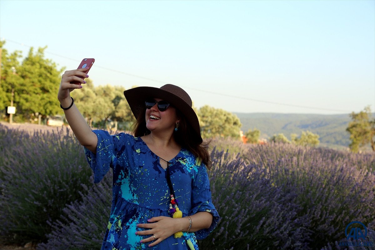 Muğla da lavanta bahçeleri misafirlerini ağırladı #4