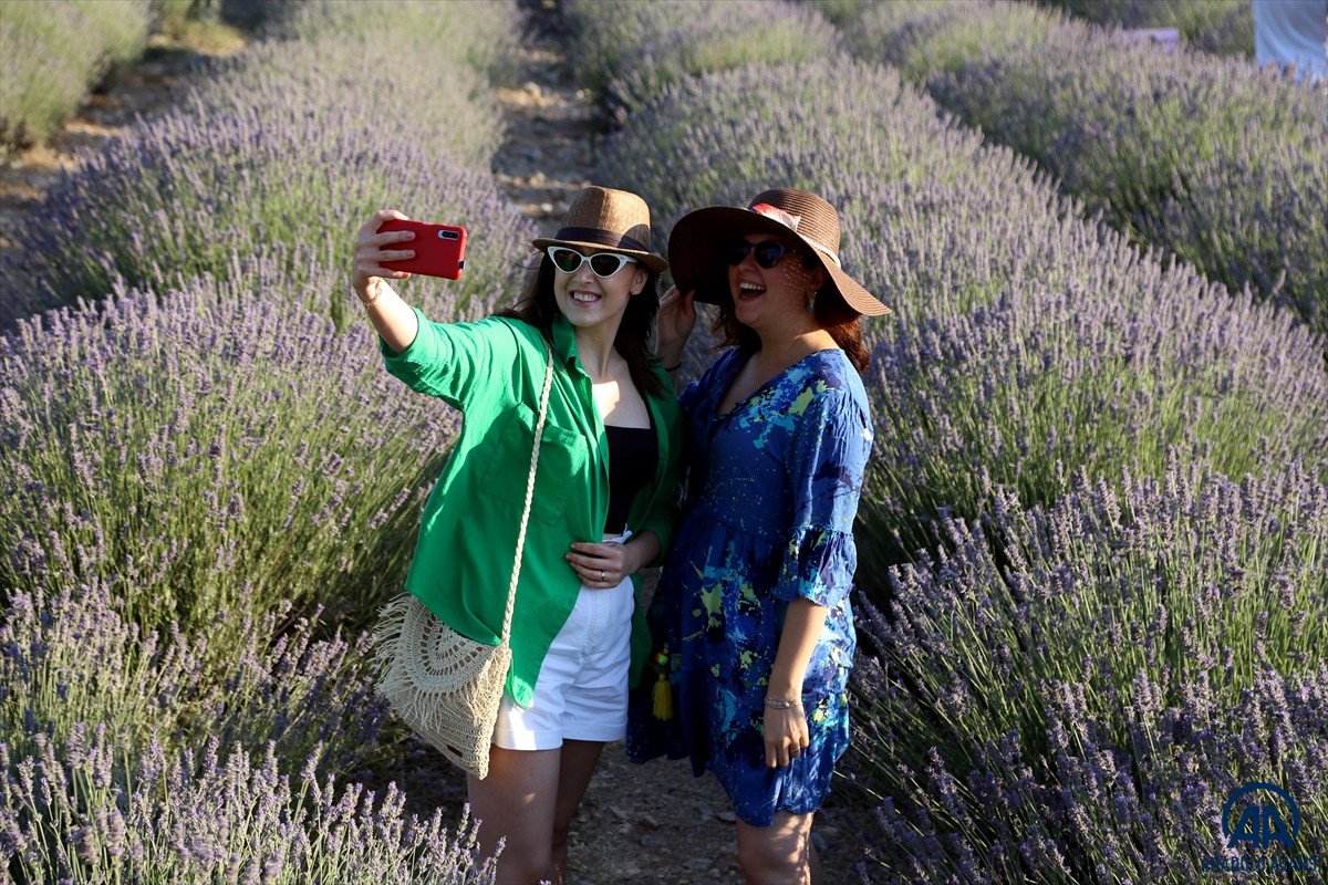 Muğla da lavanta bahçeleri misafirlerini ağırladı #10