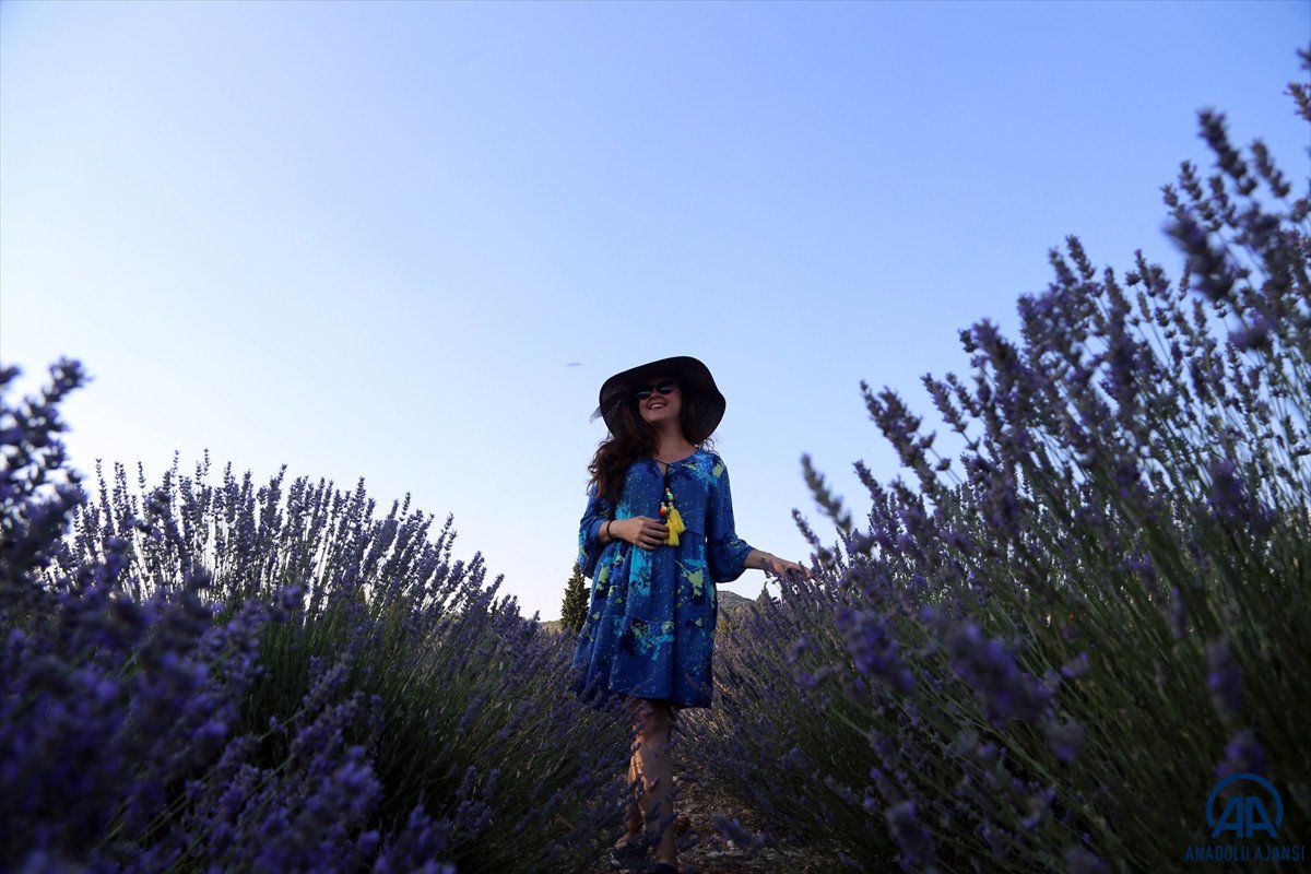 Muğla da lavanta bahçeleri misafirlerini ağırladı #8
