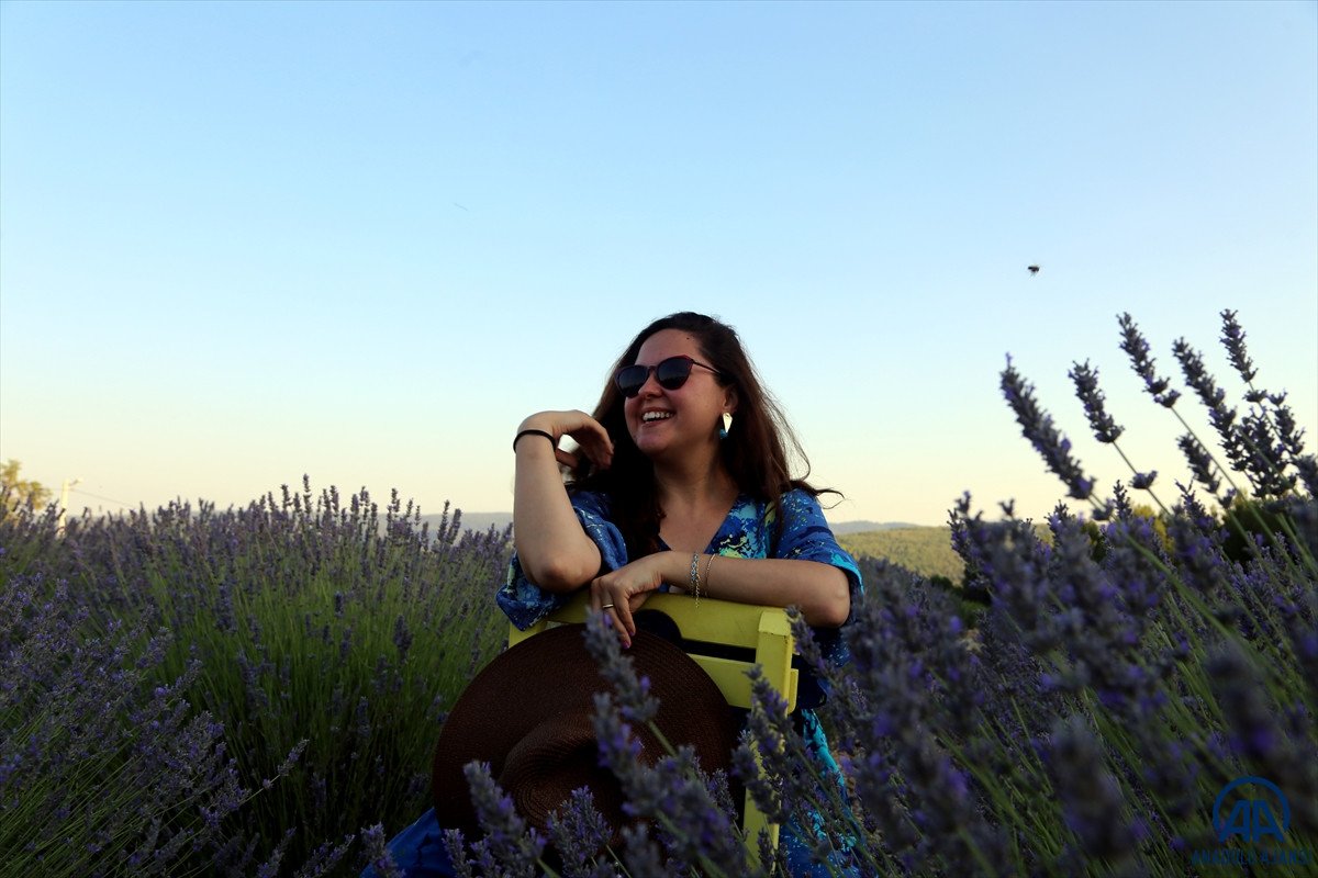 Muğla da lavanta bahçeleri misafirlerini ağırladı #1