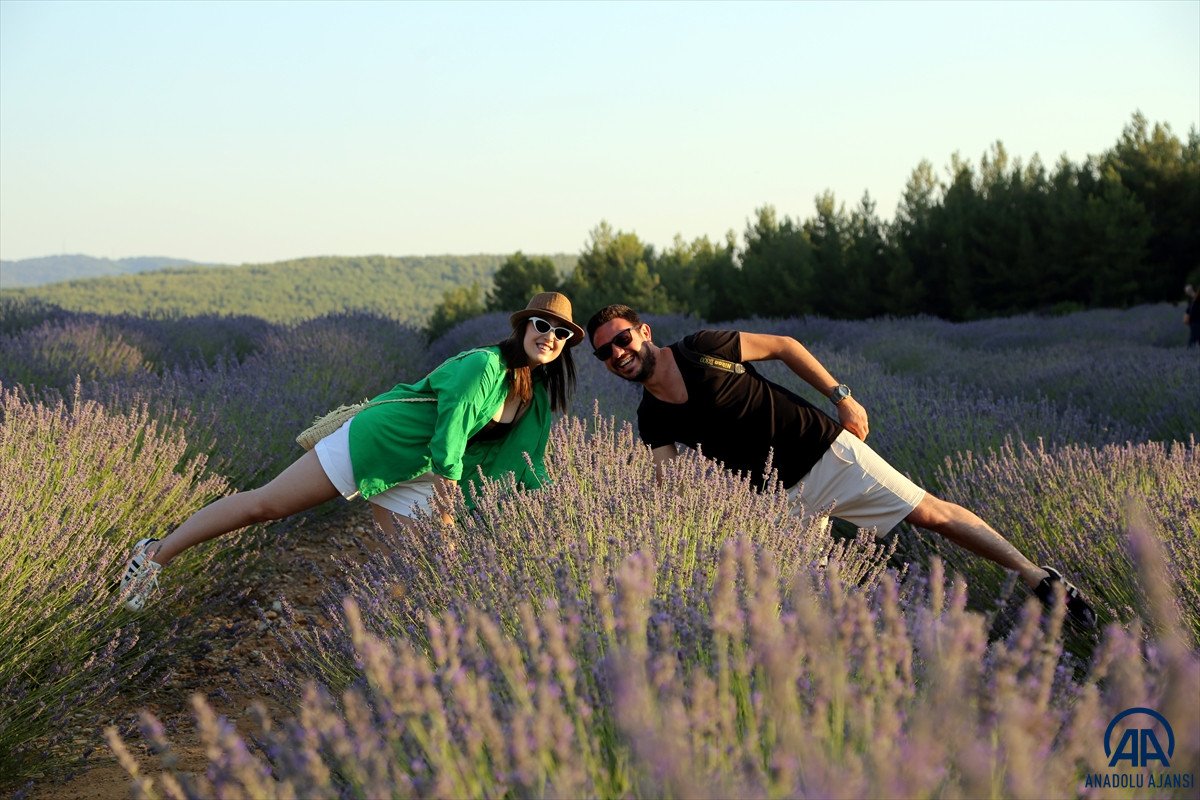 Muğla da lavanta bahçeleri misafirlerini ağırladı #9