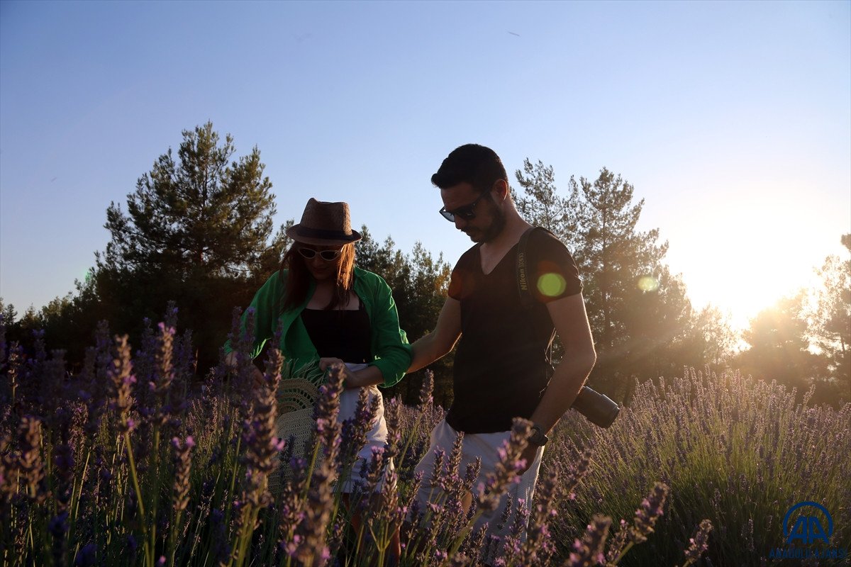 Muğla da lavanta bahçeleri misafirlerini ağırladı #5