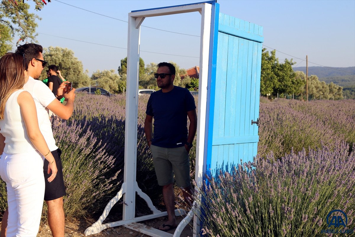 Muğla da lavanta bahçeleri misafirlerini ağırladı #6